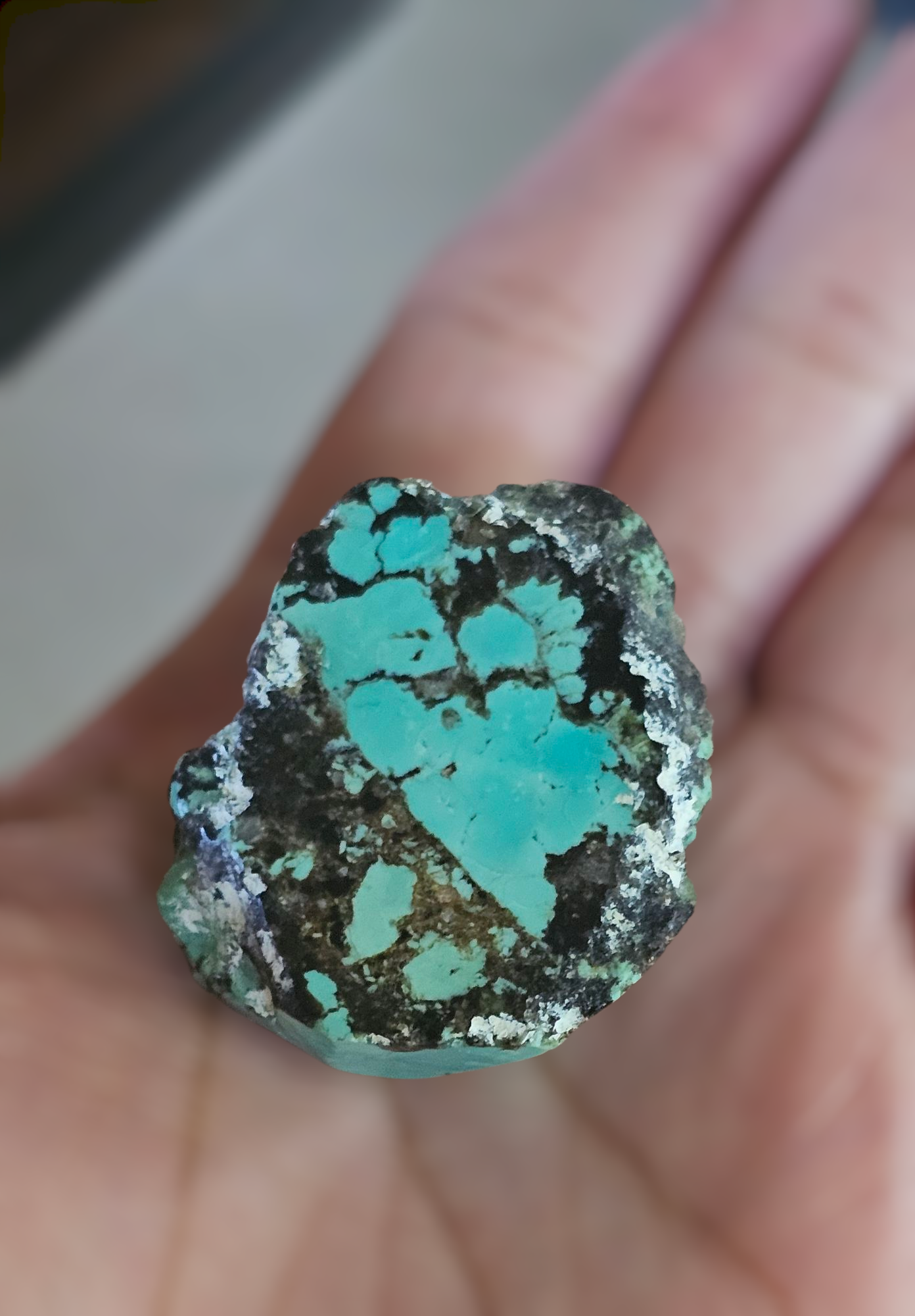 Spider Web Turquoise